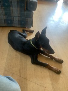 5F8D7557-6873-41D5-820B-2A560CA3B72D 5F8D7557-6873-41D5-820B-2A560CA3B72D