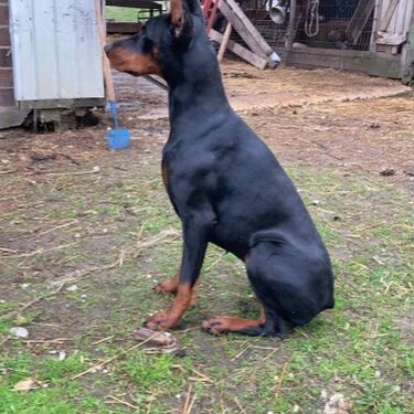 5317B8D8-E5C5-4E2C-8FF8-082C0F902435 5317B8D8-E5C5-4E2C-8FF8-082C0F902435