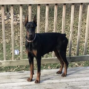 CB463541-0629-474D-8DEC-9CA5E0A00FAA CB463541-0629-474D-8DEC-9CA5E0A00FAA